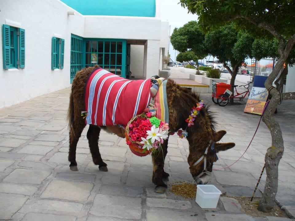 Mykonos Holidays @ Club Mykonos Langebaan Luaran gambar